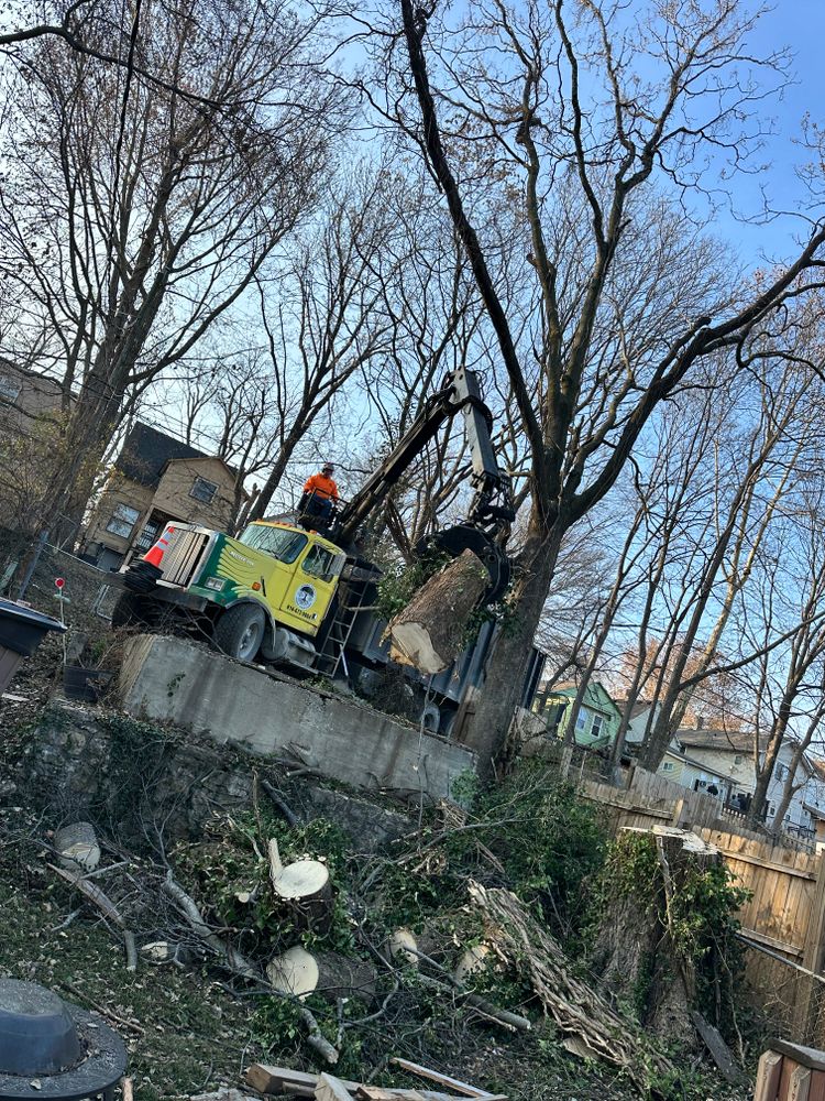 All Photos for Cross Family Tree Service in Kearney, MO