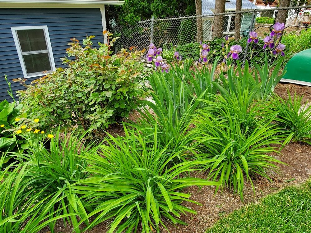 Landscaping for Evolution Earthscapes, LLC in Ludlow, MA