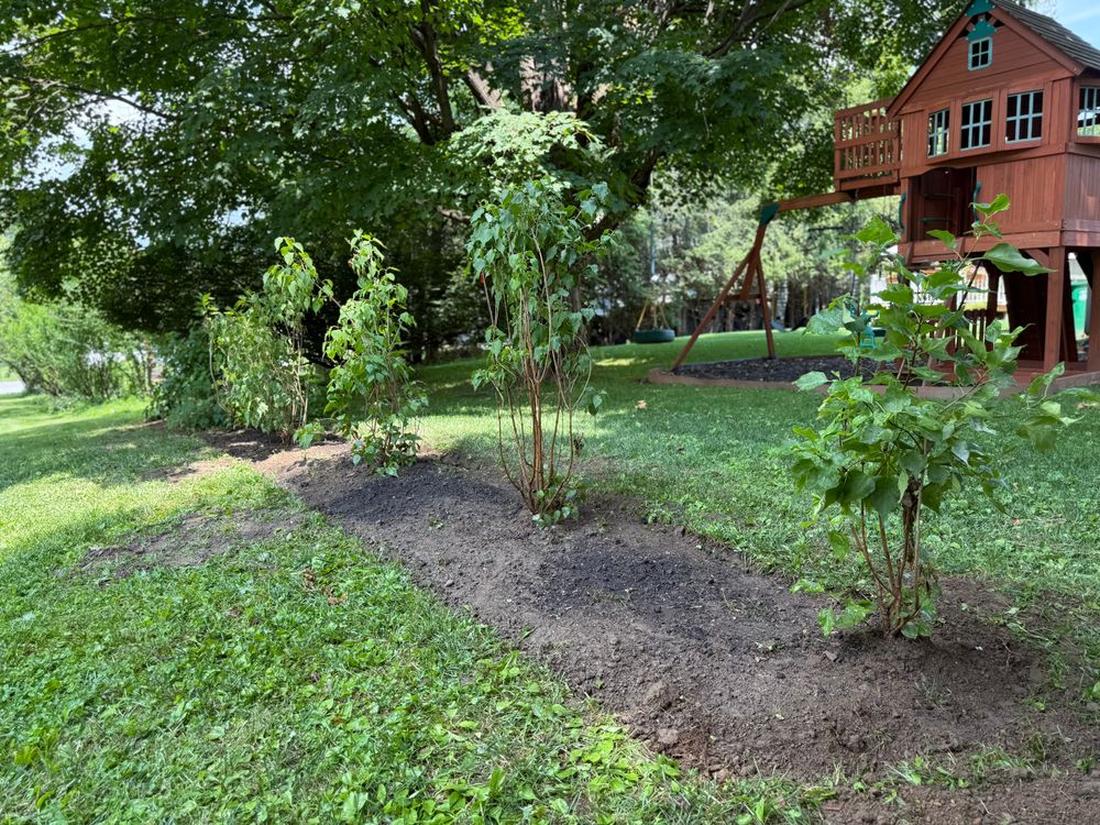 All Photos for Ardisi Property Maintenance LLC in Poughkeepsie, NY 