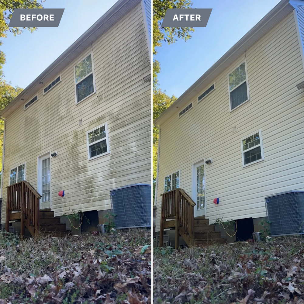 All Photos for LeafTide Solutions in Richmond, VA