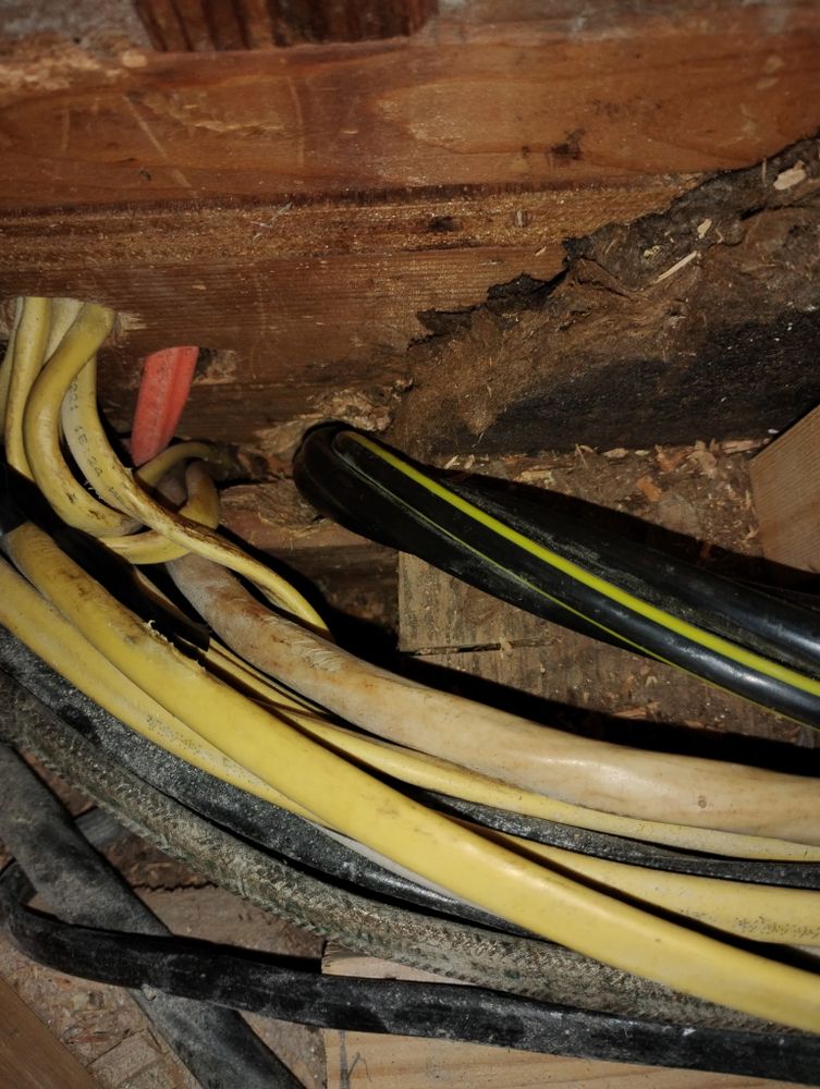 13 doors, 2 windows,  plus pool room Mechanics for Dead Tree General Contracting in Carbondale, Illinois