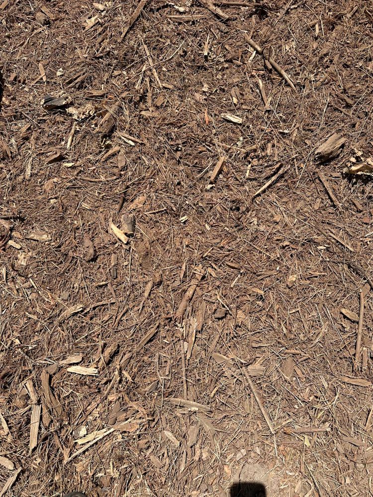 All Photos for Lewis Oaks Landscaping in King and Queen County, VA
