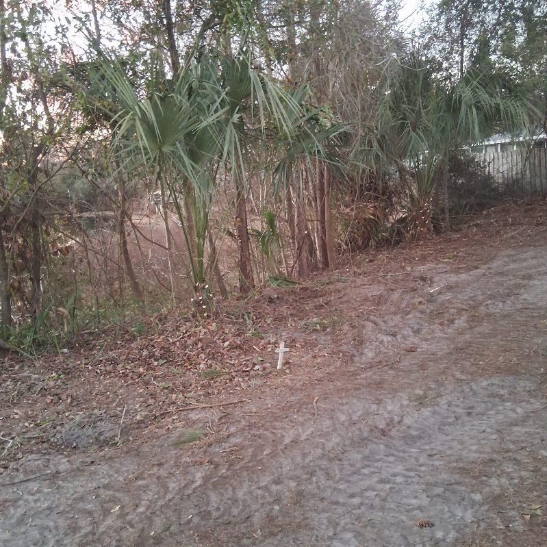 All Photos for Perfect Cut Lawn & Tree Care in Citrus County, FL