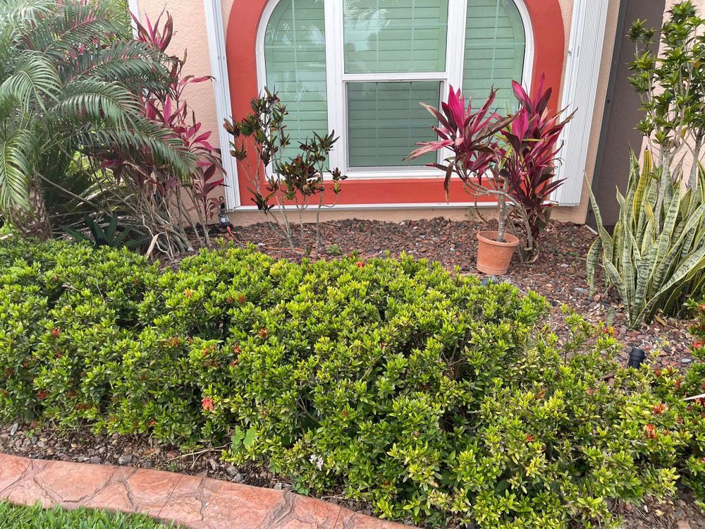 All Photos for Nominal Voltage in Orlando, FL