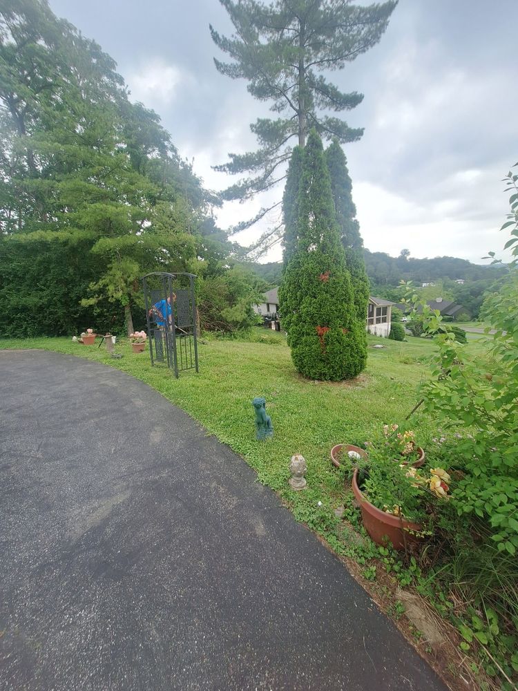 All Photos for Cincinnati’s Finest Landscape Services LLC in Cincinnati, OH
