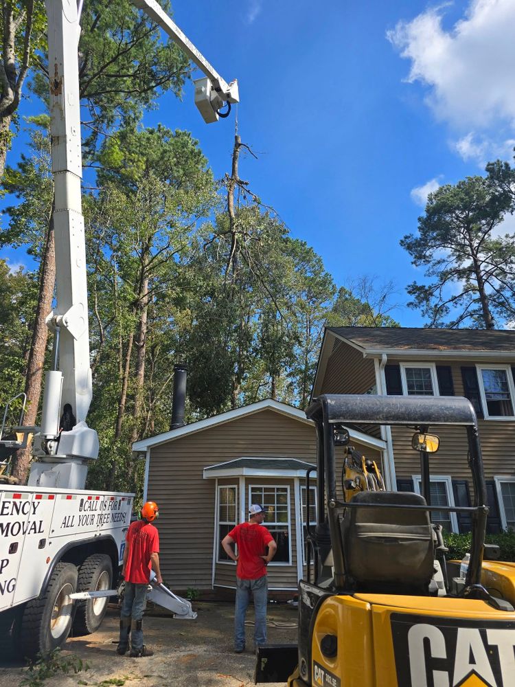 Tree Removal for Paquette's Tree Service in Malvern, AR