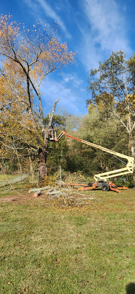 All Photos for Tree Fellers in Sumner County, TN
