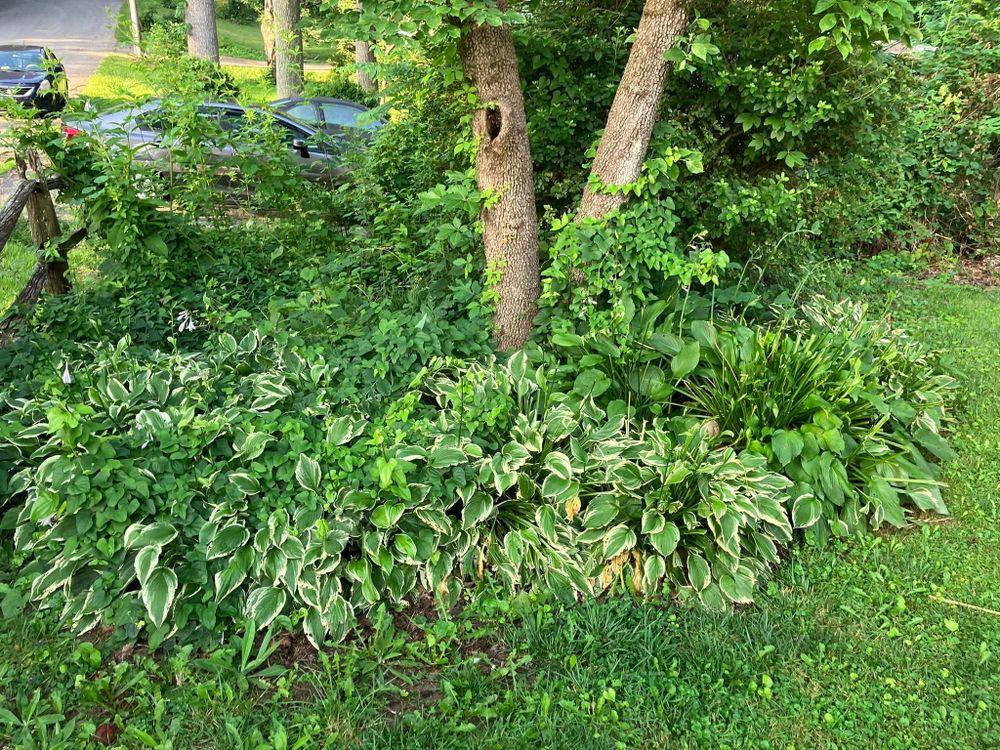 Excavating for Genesis Landworks in Bluff City, TN