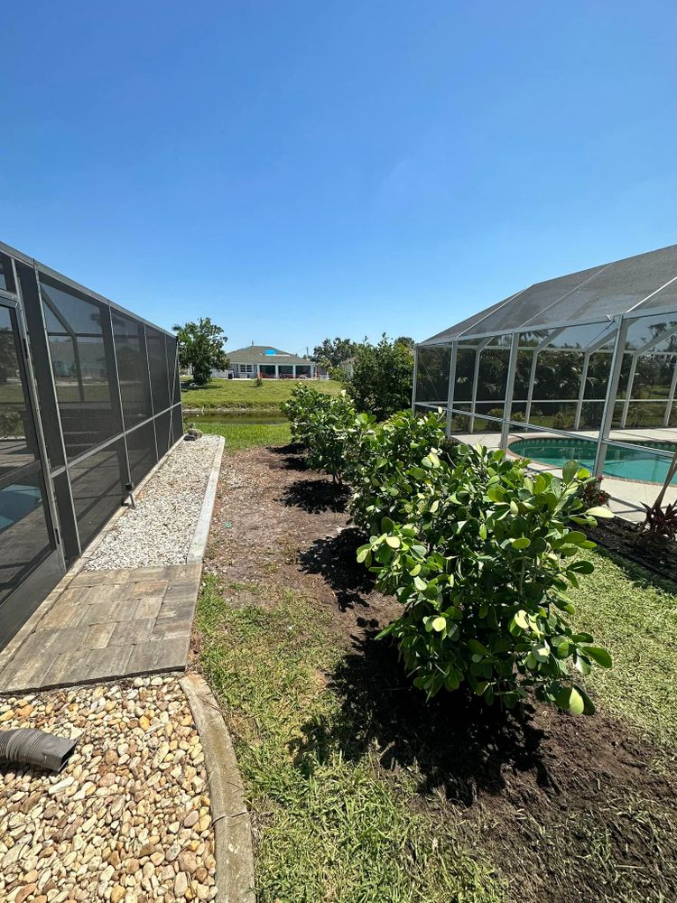 Tree Removal for MX Trees LLC in Englewood, FL