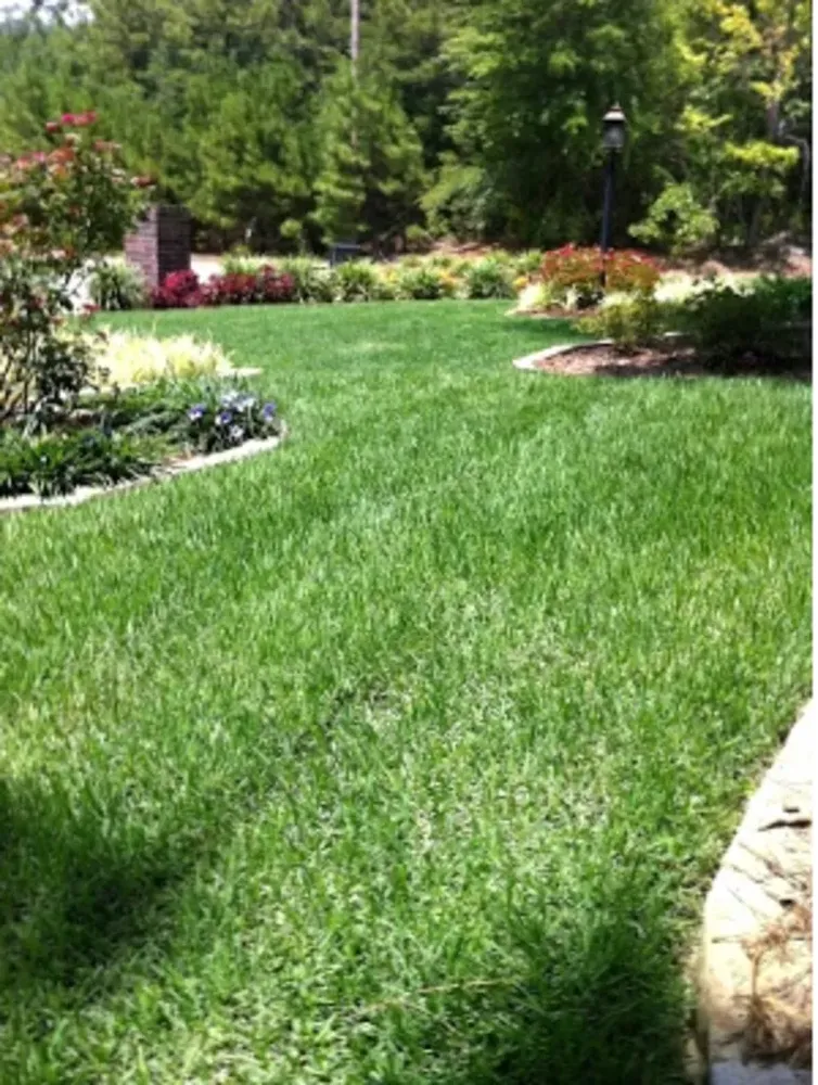 All Photos for  Be Green Lawn Care & Landscaping, LLC in Denton, TX