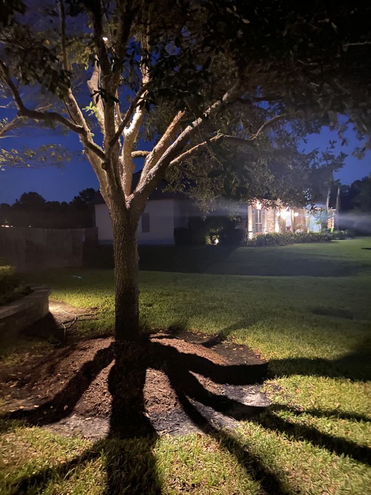 Lighting for Atlas Land Design in Creekside Park, TX