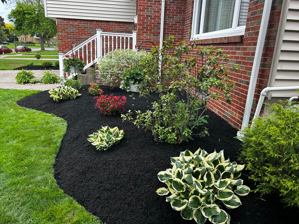 All Photos for Leaps Landscaping LLC in Buffalo, NY