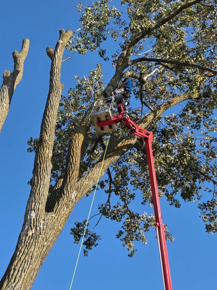 All Photos for Lawn Ranger Yard And Tree Service LLC in Ottumwa, IA