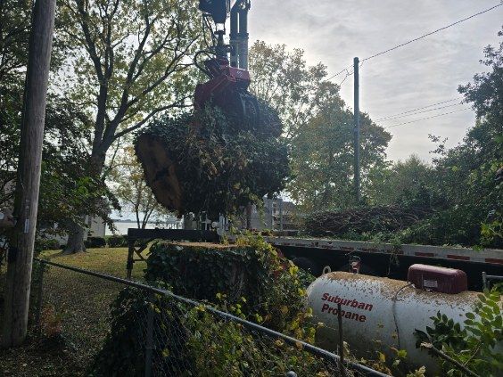 All Photos for Alexander's Tree Service  in Newburg,  MD