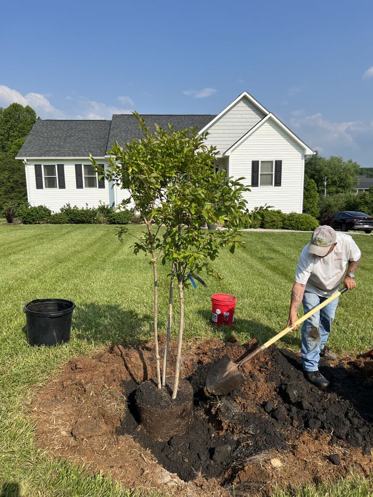 All Photos for Virginia Yard Pros in Appomattox, VA