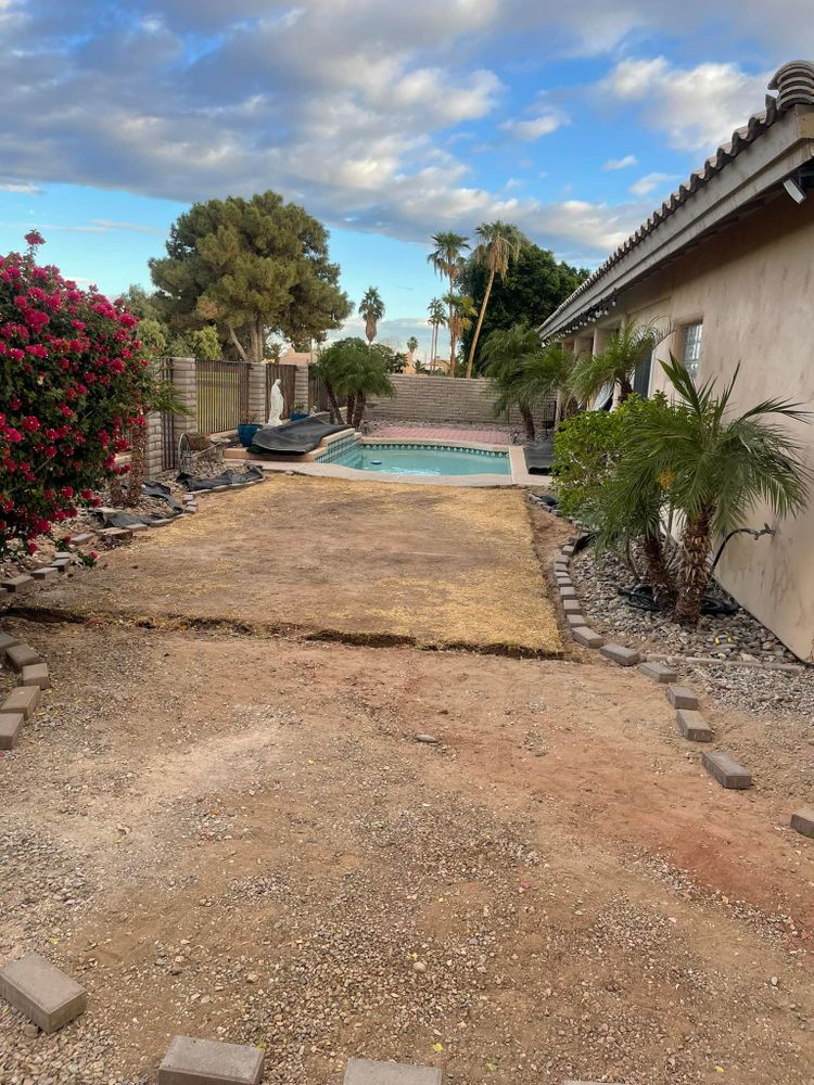 Our Turf Solutions service enhances your lawn's health through expert care, ensuring lush, green grass year-round. We provide tailored maintenance plans that improve soil quality and combat weeds for a pristine landscape. for Yuma Palms & Tree Service in Yuma, AZ