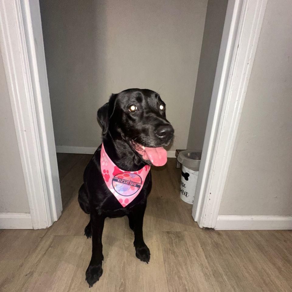 All Photos for Conley Brothers Painting in Mishawaka, IN