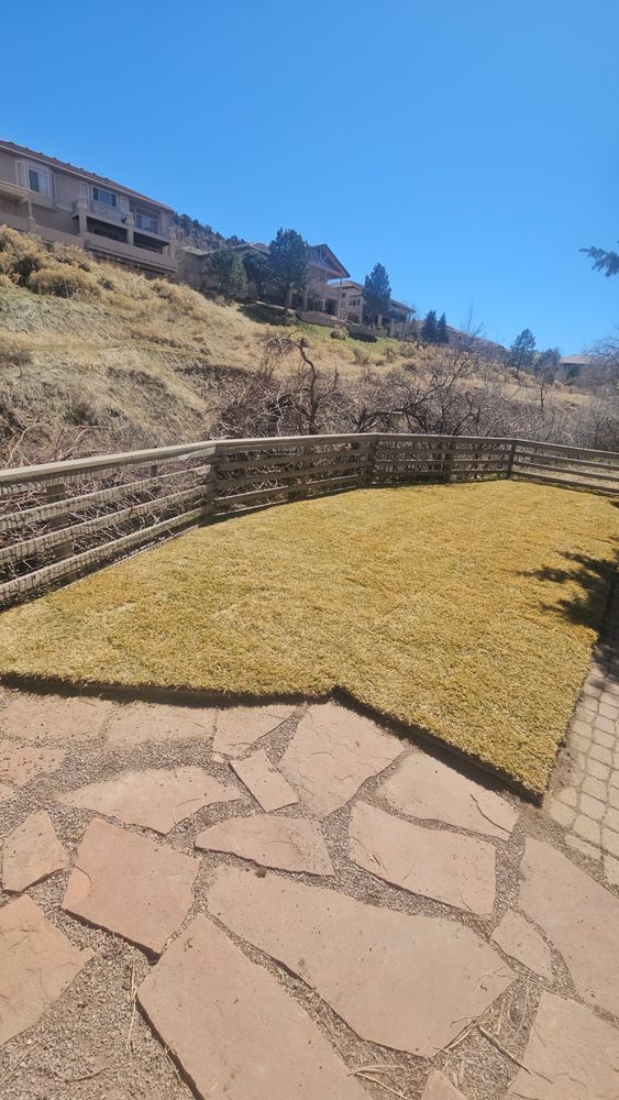 All Photos for NGL Landscape Company in Denver, CO