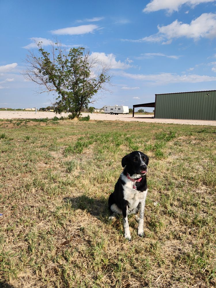 All Photos for Prairie Land Properties LLC in Lubbock, TX