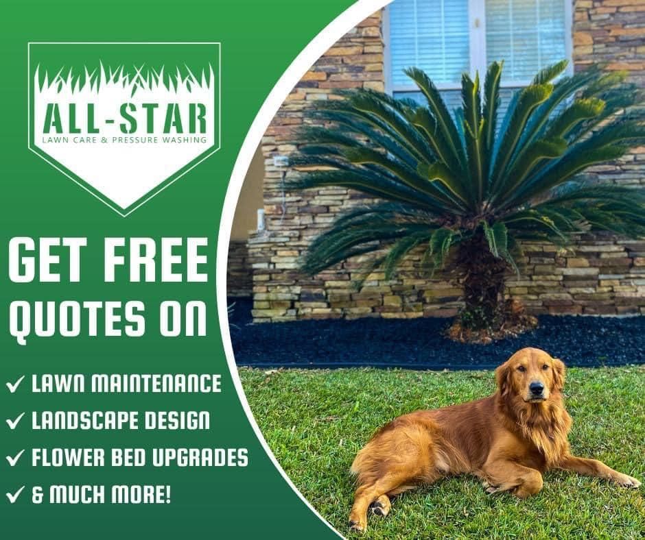 All Photos for All-Star Lawn Care & Soft Washing in Mobile, AL