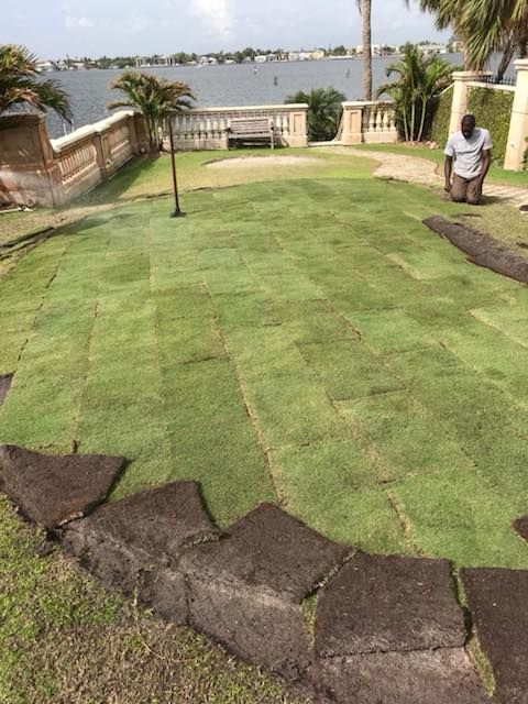 Landscaping for WORKS SOD in West Palm Beach, FL