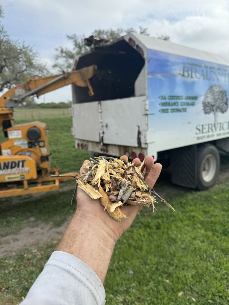 All Photos for Braun Tree Service in Floresville, Texas