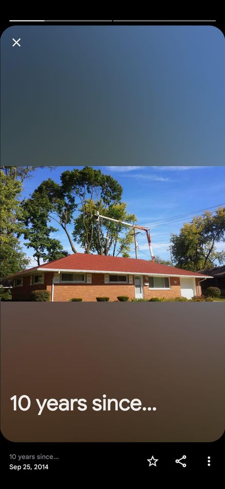 All Photos for F & F Tree Service in Beavercreek, OH