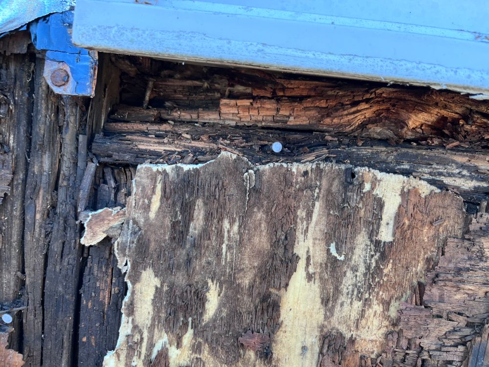 All Photos for Salt Side Construction in The Outer Banks, NC