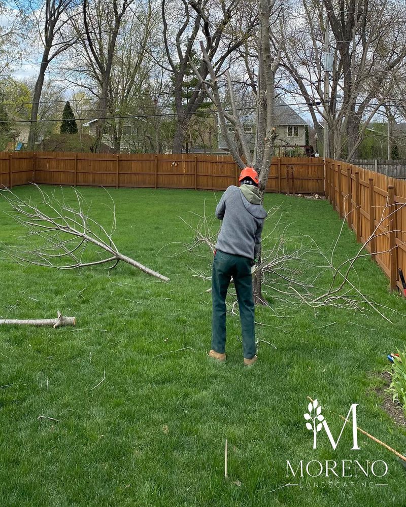 Tree Removal for Moreno Landscaping in Mundelein, IL