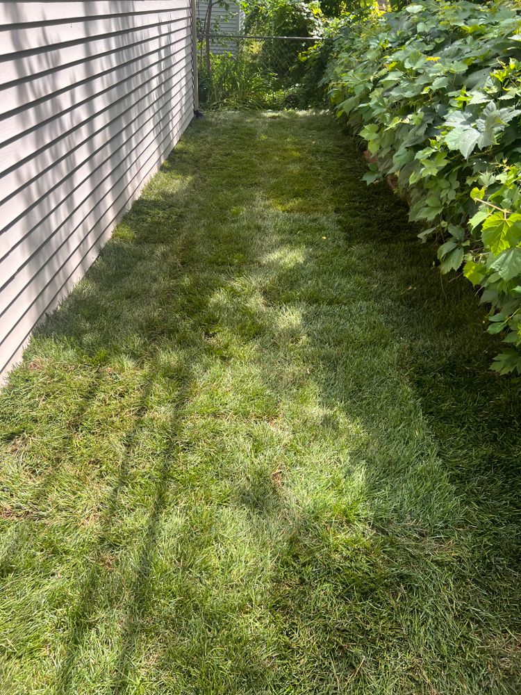 Drainage Systems for Alltimate Outdoor Services in Warren, MI