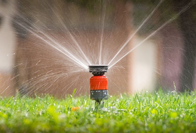 Our Sprinkler Installation service efficiently designs and installs customized irrigation systems, ensuring optimal water distribution for your lawn and garden, enhancing growth while conserving resources. Trust our expertise for a lush landscape. for TS Land Mangement in Bigfoot, TX
