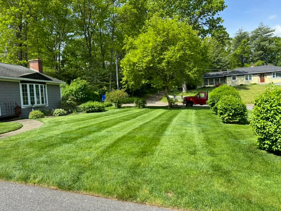All Photos for Adams Landscaping in Springfield, MA