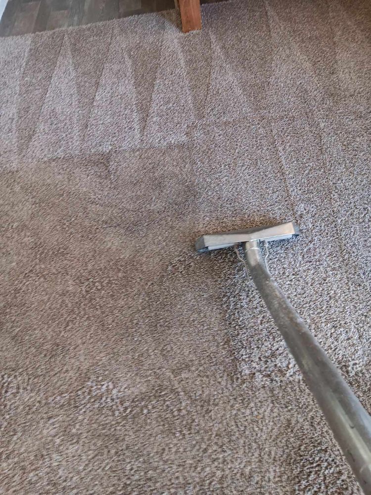 All Photos for Pro Clean Carpet Care in Sierra Vista, AZ