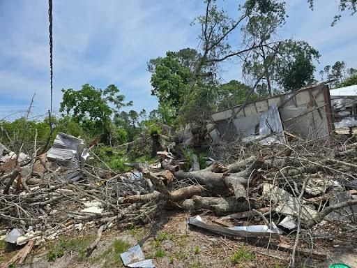 All Photos for Giles Land Management, LLC in Hahira, GA