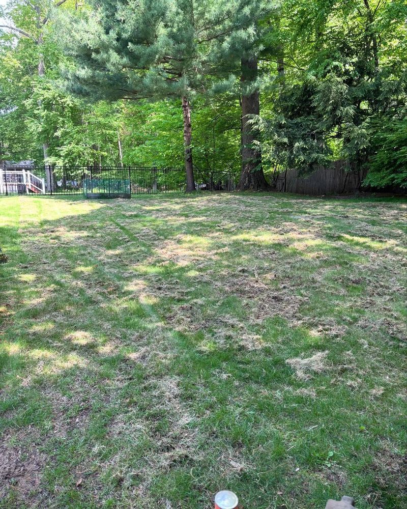 All Photos for Bumblebee Lawn Care LLC in Albany, New York