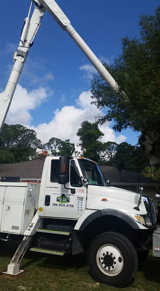 All Photos for Daniel Hickey’s Tree Service in DeLand, FL