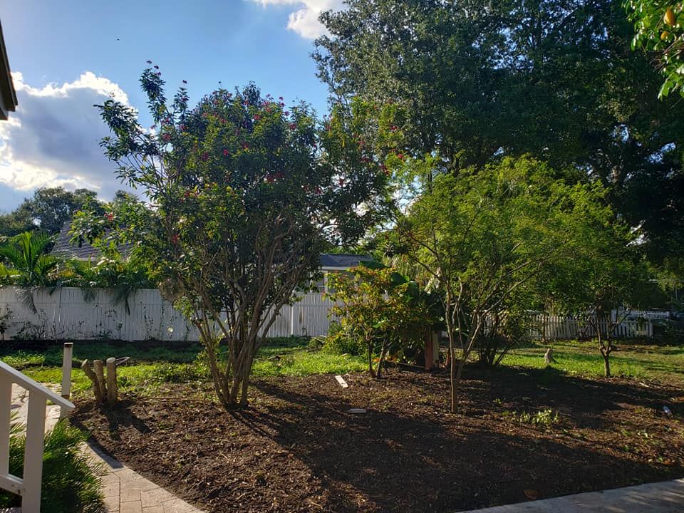 Landscaping for Golden Landscape & Tree Care in St. Petersburg, Fl