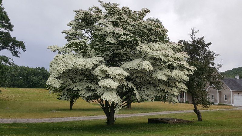 All Photos for Evolution Earthscapes, LLC in Ludlow, MA