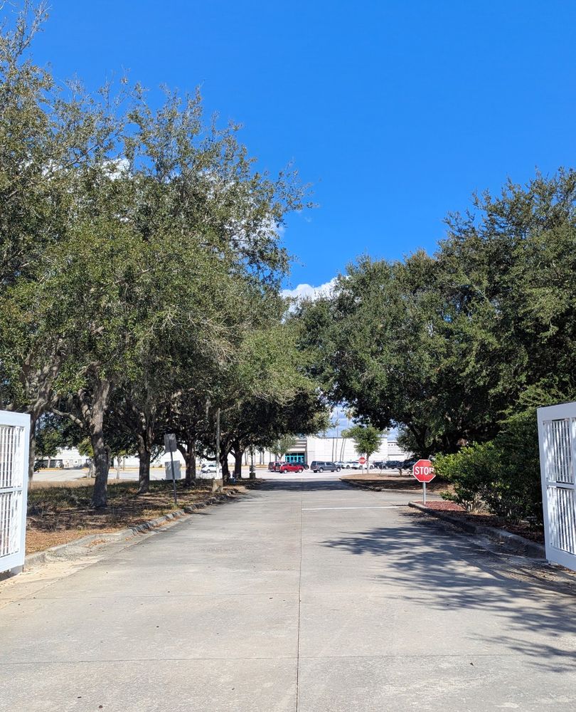 All Photos for Regal Tree Service and Stump Grinding in Wauchula, FL
