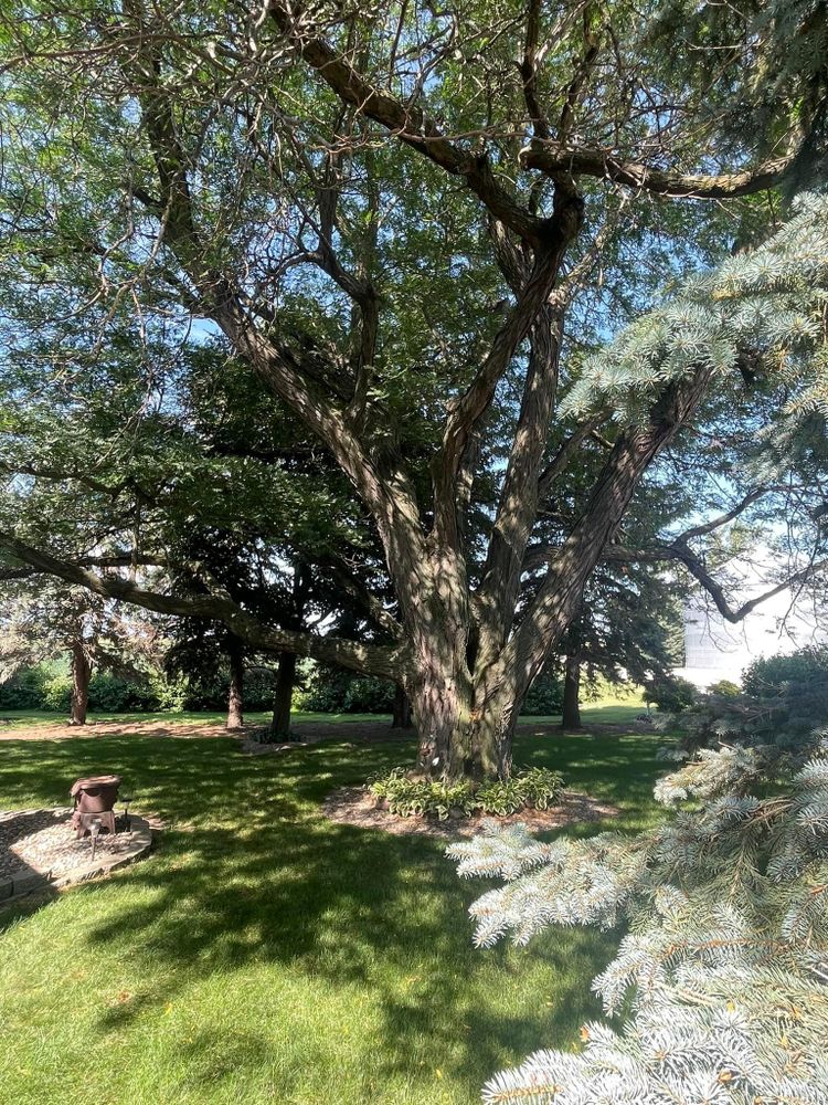 All Photos for Clavin Painting in Fort Dodge, Iowa