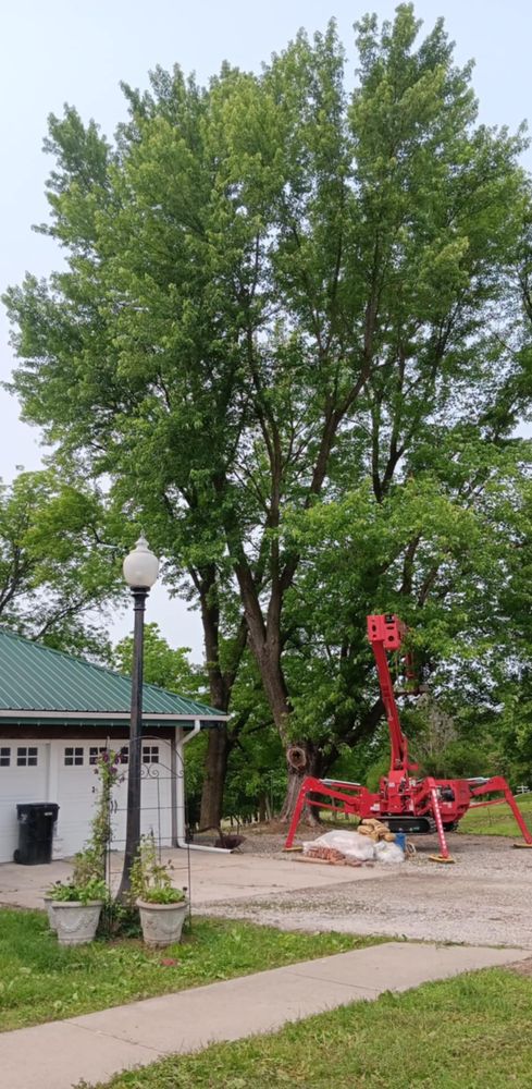 All Photos for Lawn Ranger Yard And Tree Service LLC in Ottumwa, IA