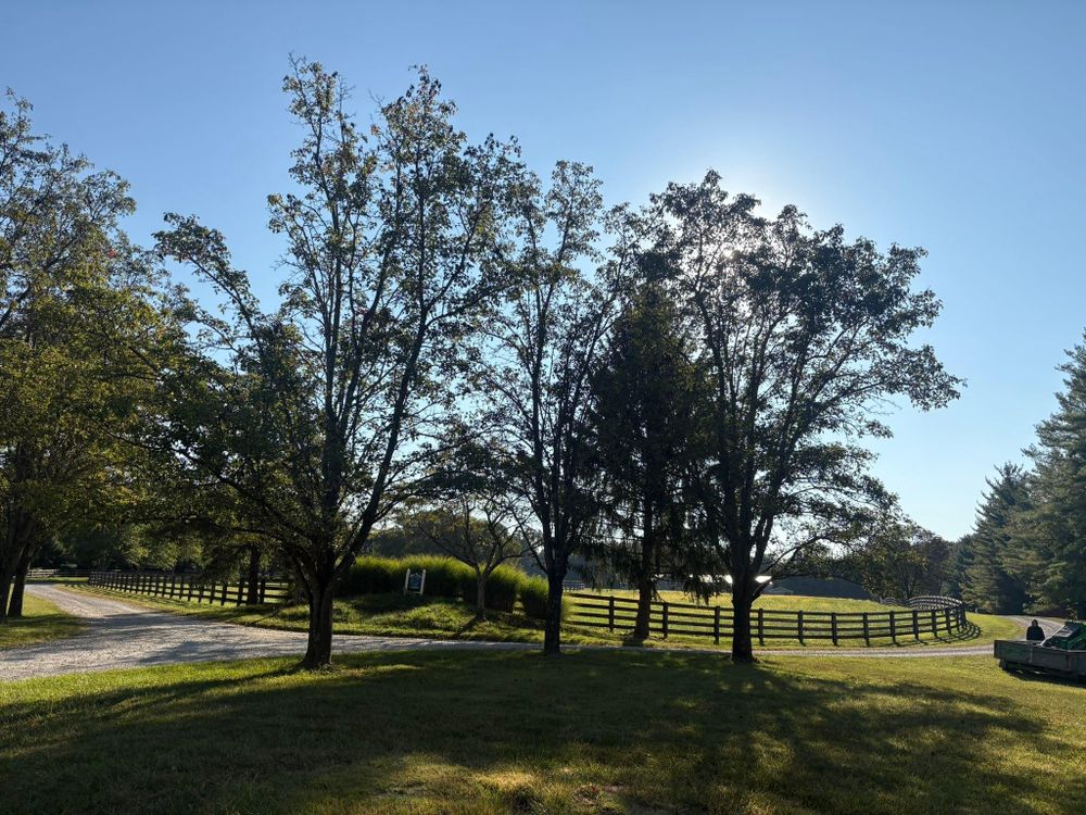 All Photos for Dig-It Tree Company in , 
