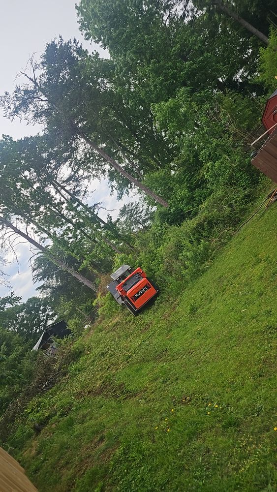 All Photos for Sasquatch Tree Services LLC in Spartanburg, SC