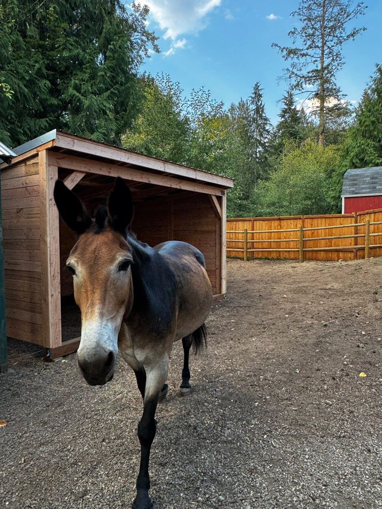 All Photos for Oats Equestrian Fencing LLC in Arlington, WA