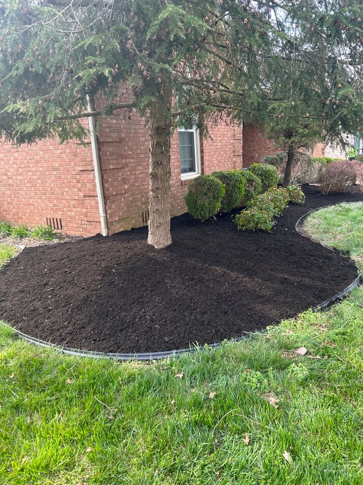 All Photos for Optimum Tree Service And Landscaping in Bowling Green, KY