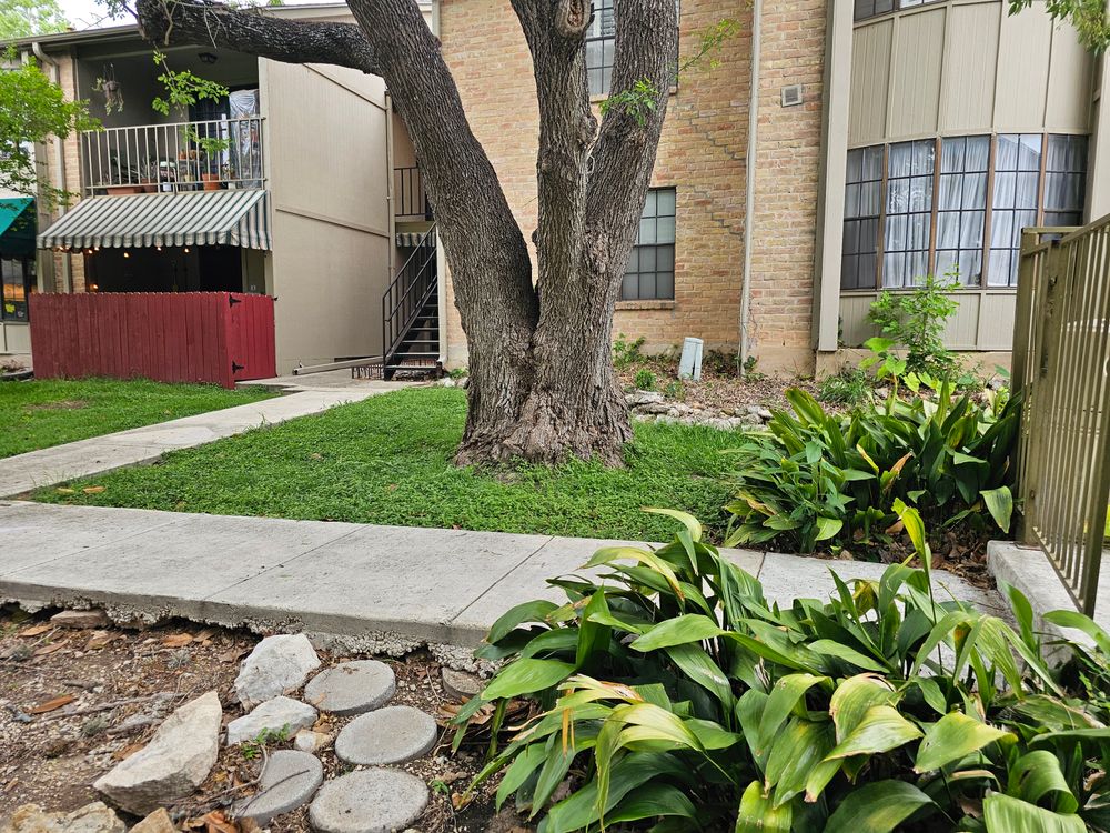 All Photos for Miller Mowing and Maintenance in San Antonio, TX