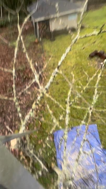 All Photos for Avenscapes NW, LLC in Getchell , WA