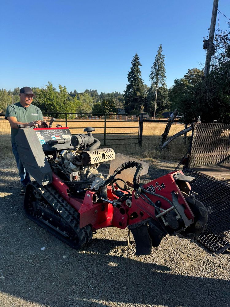 All Photos for Willamette Landscaping and Tree Services in Albany, OR