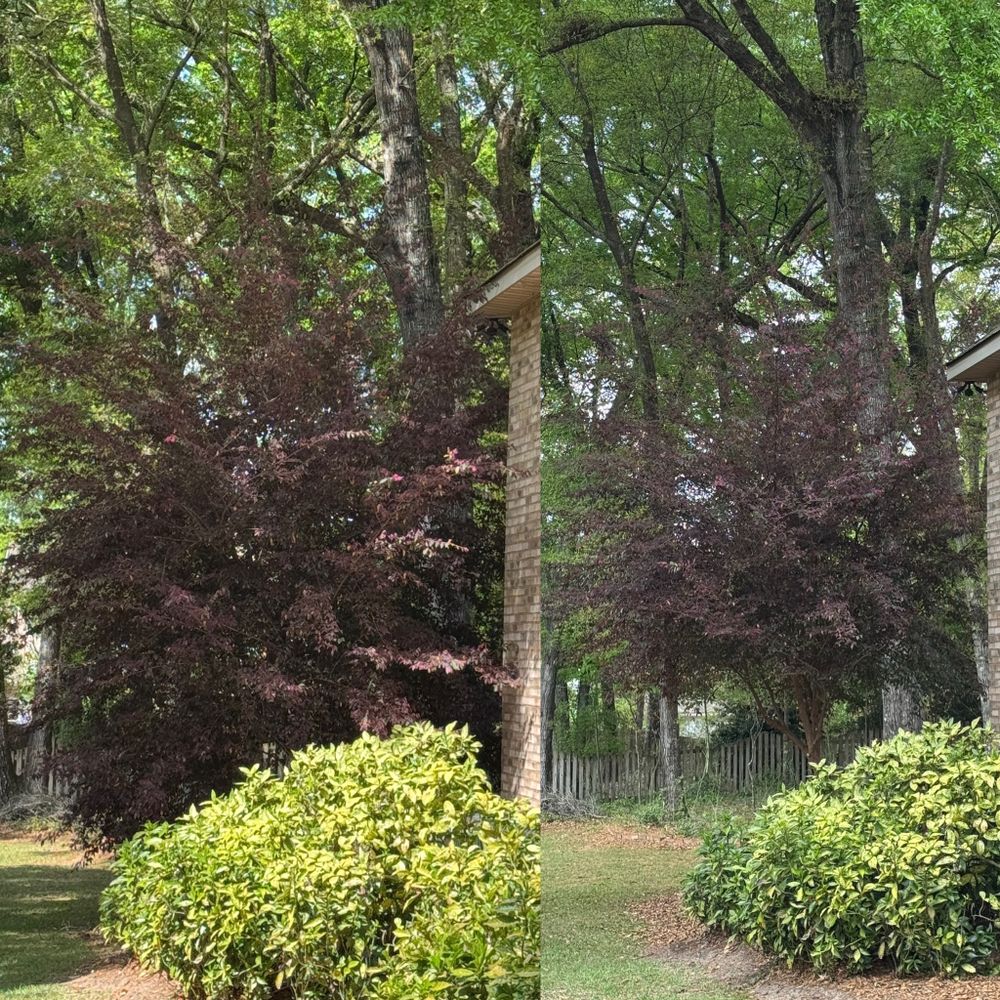 All Photos for Camalett Services in Perry, GA