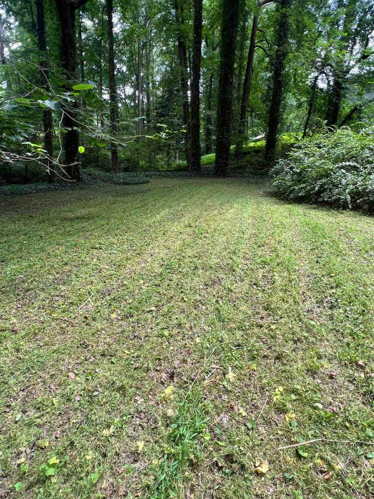 Landscaping for Williams Brothers Landscaping & Construction in Atlanta, GA